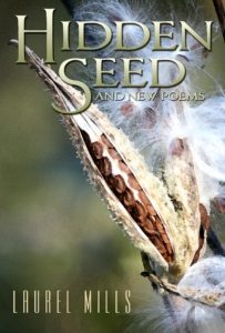 Hidden Seed, by Laurel Mills