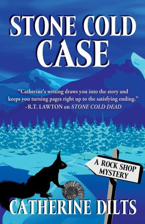 Stone Cold Case By: Catherine Dilts - Cover Art