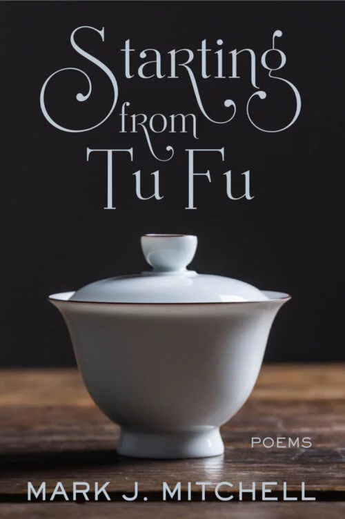 Starting from TuFu - Cover Art