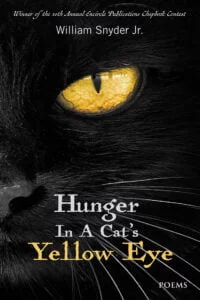 Hunger in a Cat’s Yellow Eye by William Snyder Jr. - Cover Art