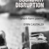 Boundary Disruption