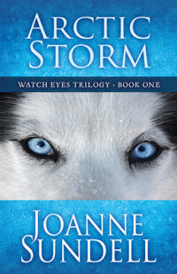 Arctic Storm by Joanne Sundell