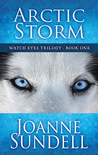Arctic Storm by Joanne Sundell