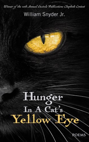 Hunger in a Cat’s Yellow Eye by William Snyder Jr. - Cover Art